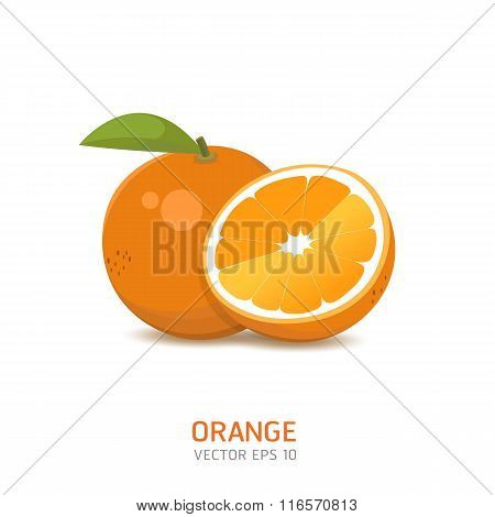 Orange Fruit 1