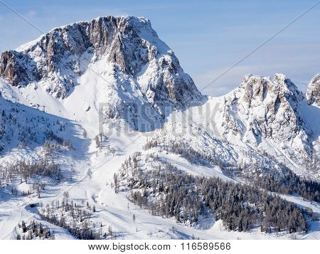 Winter Landscape