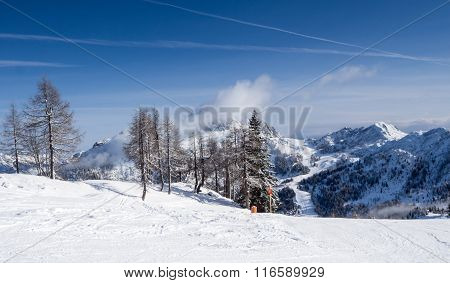 Winter Landscape