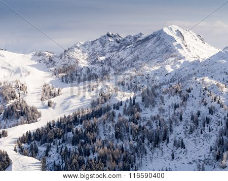 Winter Landscape
