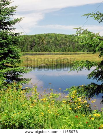Algonquin_Mizzylake2