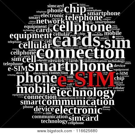 Word Cloud Related To E-sim.