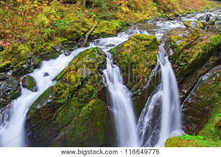 Sol Duc waterfall in Rain Forest