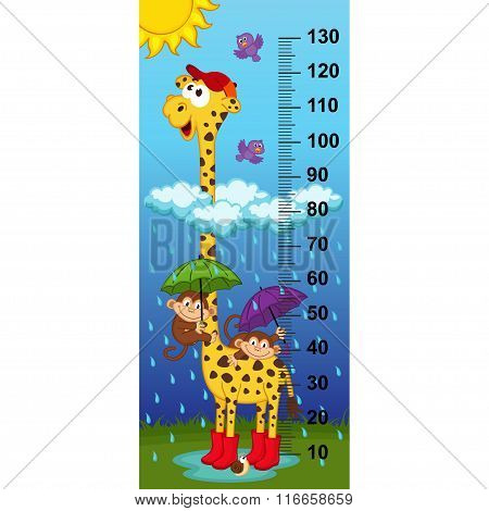 giraffe height measure(in original proportions 1:4)