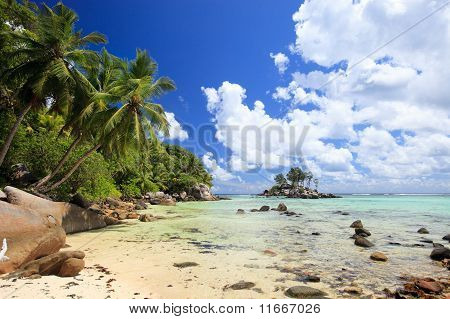 Perfekt strand på Seychellerne