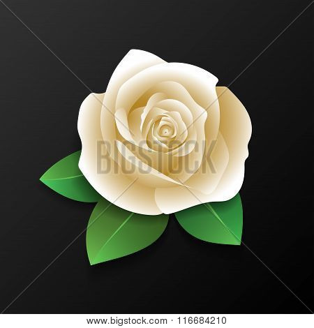 Realistic rose and leaves