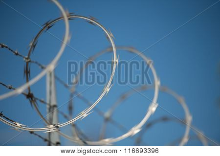 concertina wire fence