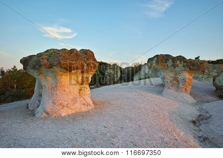 Stone Mushrooms colored in yellow from Sunrise near Beli plast village, Bulgaria