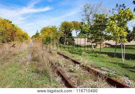 Overgrown Rusty Track In Summer