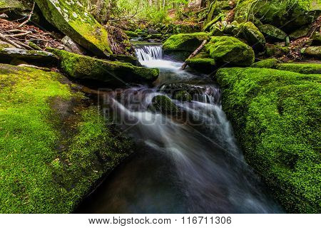 Mossy Creek In The Catskills