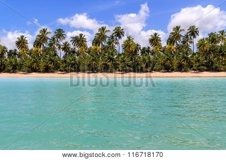 View of a beach from water at Maragogi in Alagoas in Brazil