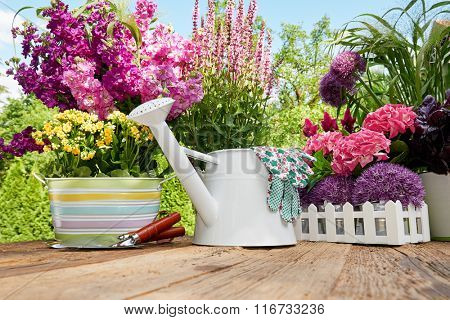 Freshflowers  in wooden box with garden tools on terrace