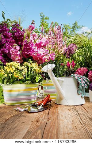 Freshflowers  in wooden box with garden tools on terrace