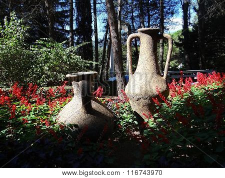 In Massandra Park. Yalta. Crimea.