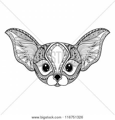 Zentangle stylized desert mini Fox face. Hand Drawn vector illus