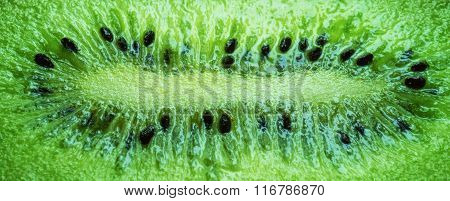 Kiwi close-up of juicy green