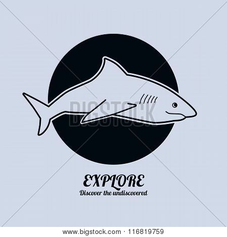 Illustration of a shark. Minimalist vector illustration.