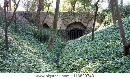 stone bridge surrounded by vegetation in the capricho park of Madrid
