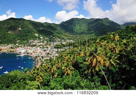Palm Trees By Soufriere