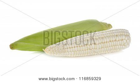 Uncooked White Corn Wil Leaf On White Background