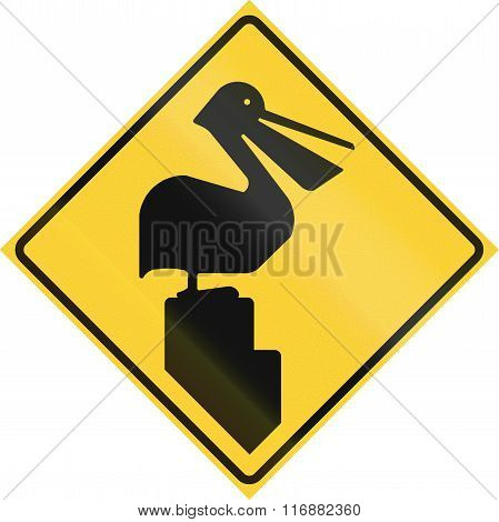 Road Sign Used In The Us State Of Texas - Pelicans