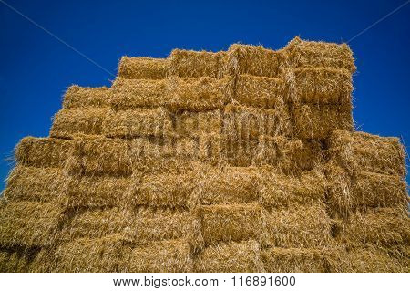 cereal bales of straw