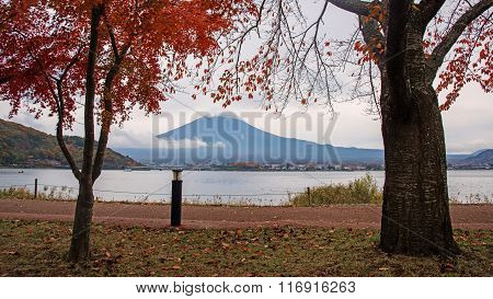 Mt.fuji With Red Leaves In Kawaguchiko