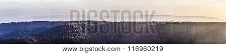 Scenic Forest Seen From Kyffhaeuser Monument In Sunset