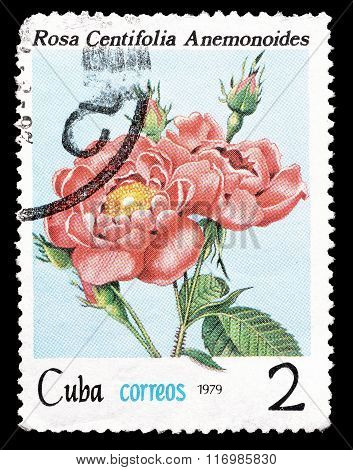 Cuba 1979