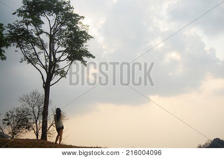Asian Thai Women Travelers Stand Alone Under Tree For Looking Sunset At Viewpoint On Top Of Mountain
