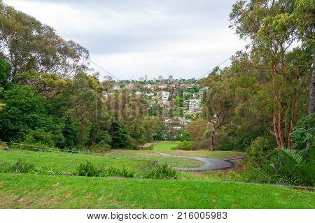 Green park with pedestrian path and suburbian cityscape on the background. Sydney Australia