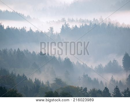 Autumn Sunrise. Deep Forest In A Beautiful Hilly Landscape Within Inversion Weather.