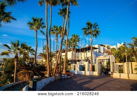 Beautiful view over traditional house architecture and palm trees illuminated by sunset light in Tenerife Adeje Coast, Spain