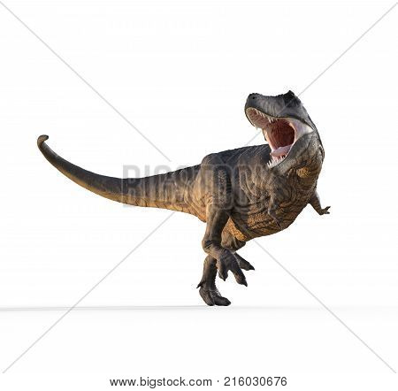 3d render dinosaur - trex white on white background. This is a 3d render illustration