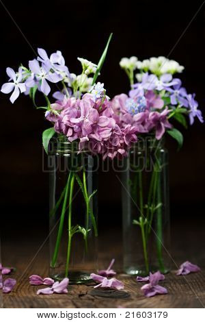 美しい春の花