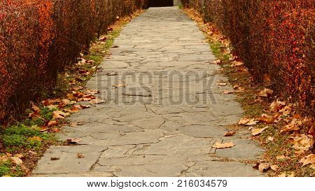 Fallen leaves side by side with a long and narrow pathway. Autumn colors.