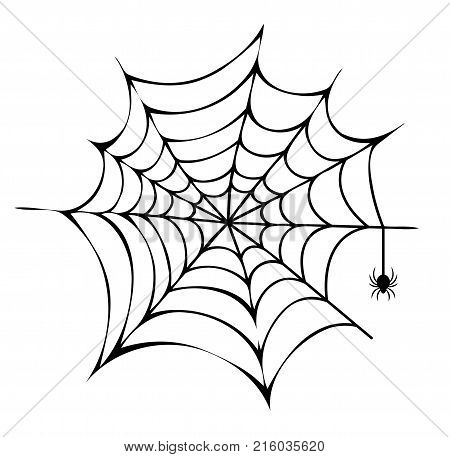 Spider building his net icon isolated on white background. Vector illustration with big black scary arthropod working on his trap