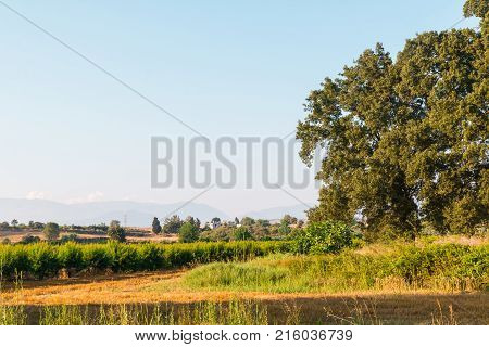 Summer Landscape With Green Trees And Fields And Mountains In The Distance
