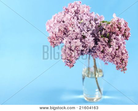 紫色のライラックの花束