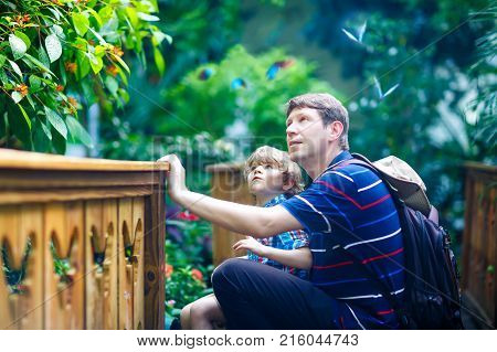 Father and preschool kid boy discovering flowers, plants and butterflies at botanic garden. Family, young man and son interested in biology. Active educational leisure with preschool kids in museum.