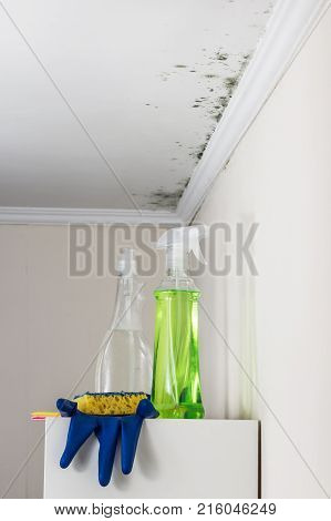 Ceiling Walls Living Image Photo Free Trial Stock Ceiling Walls Living Image Photo