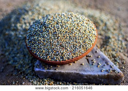Raw Organic Pennisetum Glaucum,