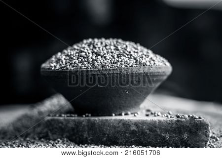 Raw Organic Pennisetum Glaucum,