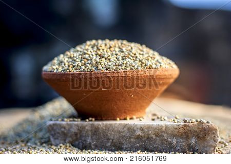 Raw Organic Pennisetum Glaucum,