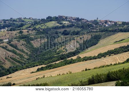 Landscape Near Ascoli Piceno At Summer