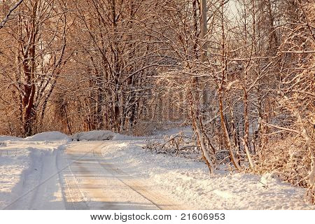 Parque luz temprano en la mañana de la cubierta de nieve.