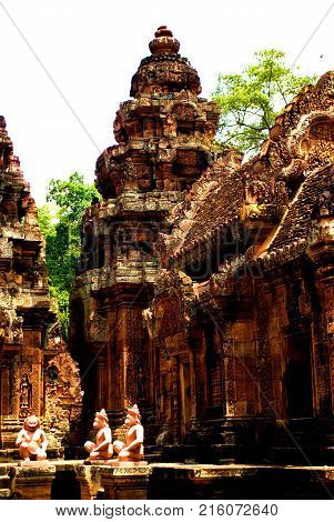 templo  rojo  banteay srei en siem reap cambodia