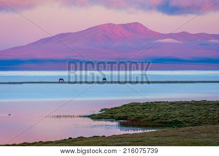 Song Kul Lake With Horses In Sunrise