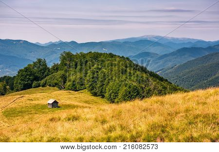 shed near the forest on a grassy slope. beautiful summer landscape in Carpathian mountains. Polonina Krasna mountain ridge is seen in a far distance