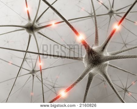 Neurons